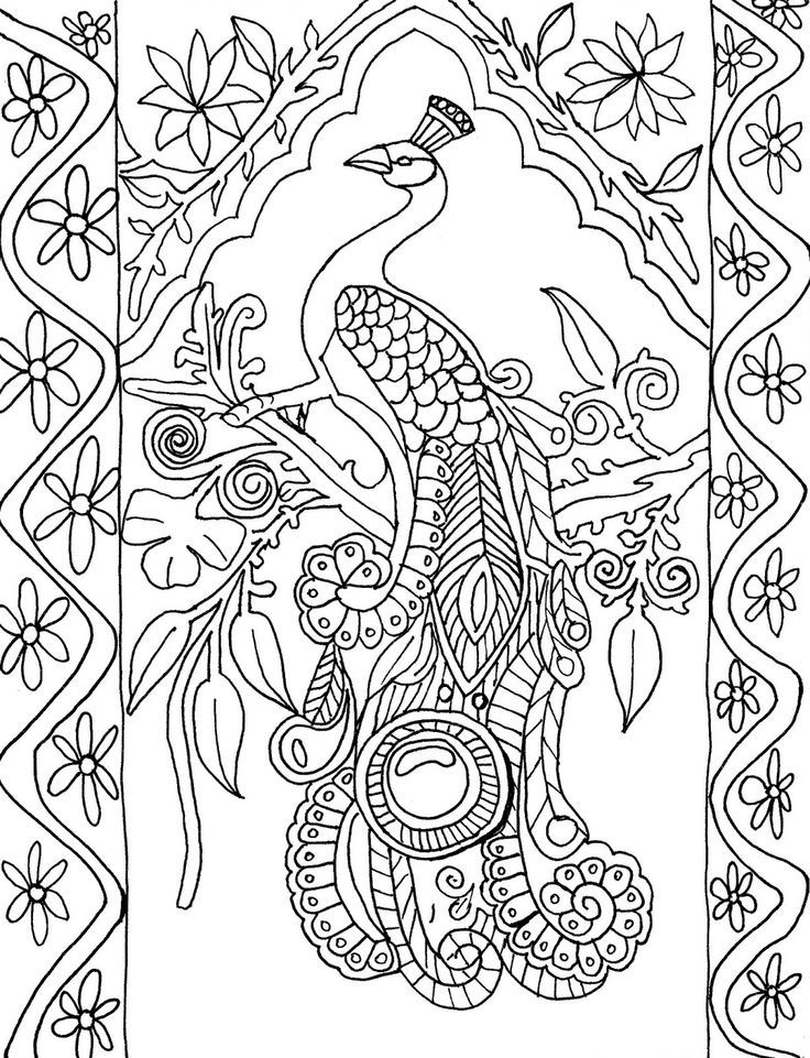 Coloring Page World - Peacock | Coloring Pages - Adult Coloring | Pin…