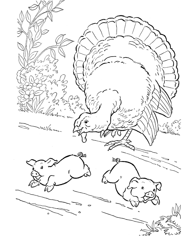 Farm Animal Coloring Pages | Printable Turkey Coloring Page and 