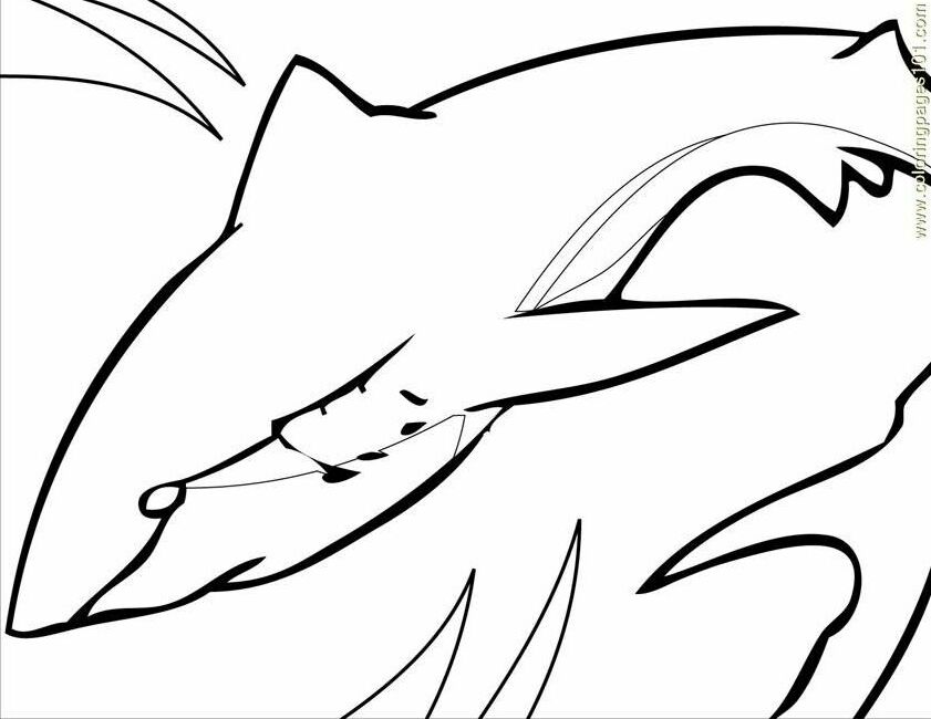 Coloring Pages Great White Shark Ink (Fish > Shark) - free 