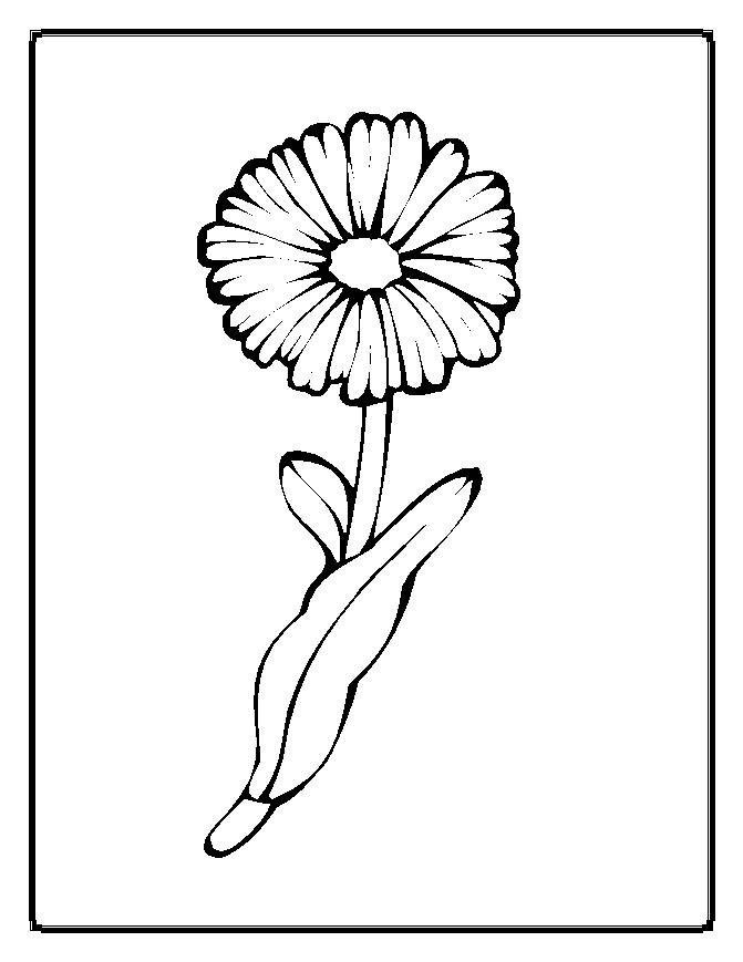 Printable Spring Flowers Â» Cenul – Free Coloring Pages For Kids