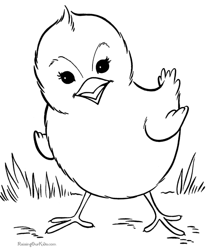 Bird coloring sheet and pages