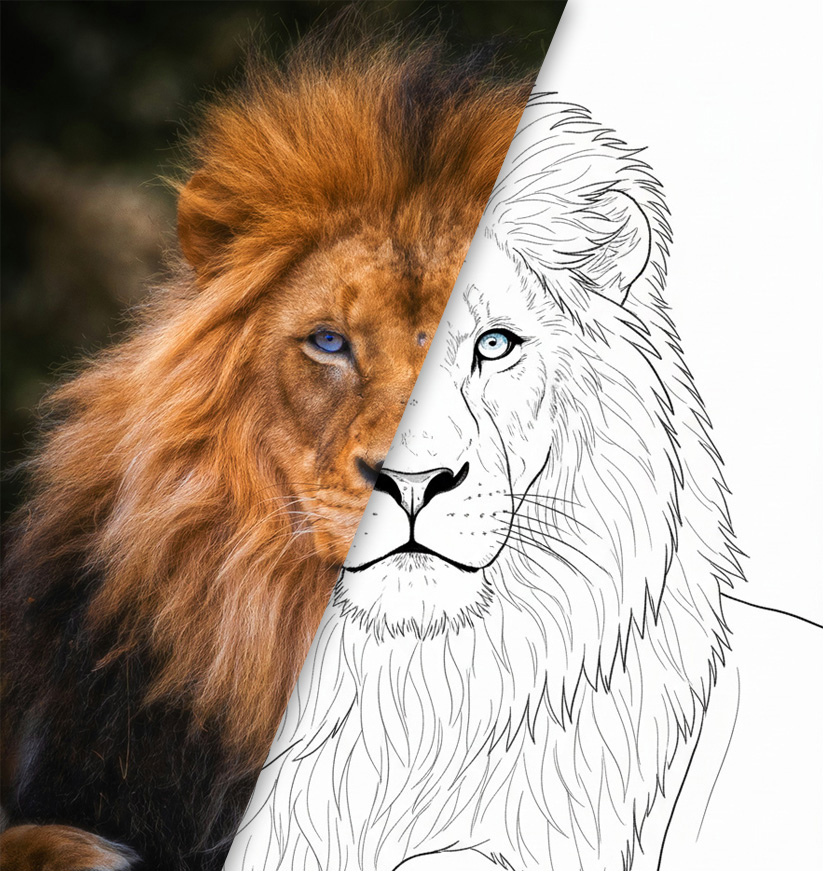 Before/After example photo