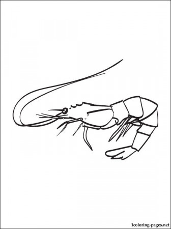 Shrimp Coloring Page - Colored by dsa (21 - 40), from PH