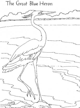 Heron Coloring Pages - Best Coloring Pages For Kids | Bird coloring pages, Coloring  pages, Coloring pages for kids