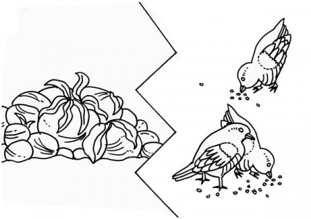 Some Seed was Eaten by Birds in Parable of the Sower Coloring Page ...
