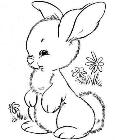 A Furry Little Bunny On The Plain Coloring Page - Download & Print ...