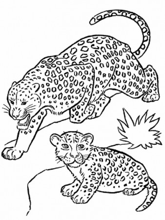 Leopard Coloring Pages Printable PDF - Coloringfolder.com