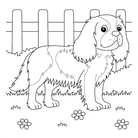 Premium Vector | Cavalier king charles spaniel dog coloring