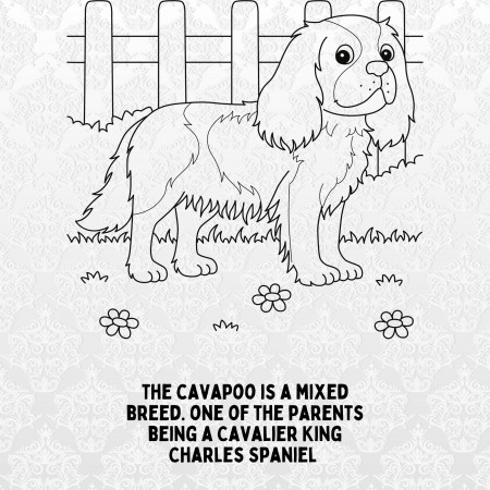 Cavapoo Coloring Book: 4 Fun-filled Pages Bonus Stickers and - Etsy