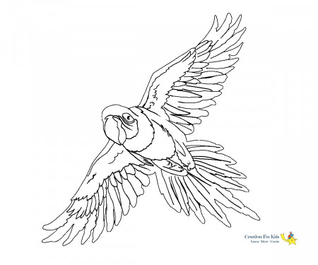 Parrot Coloring Pages - Kiddo