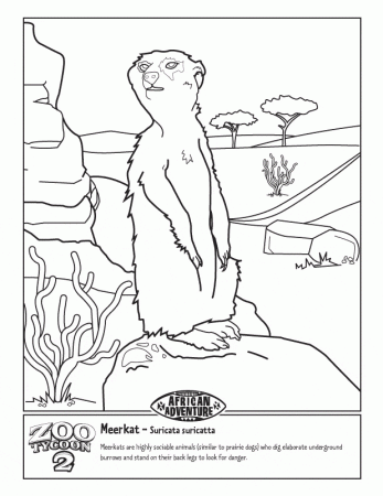 Meerkat coloring page - Animals Town - Animal color sheets ...