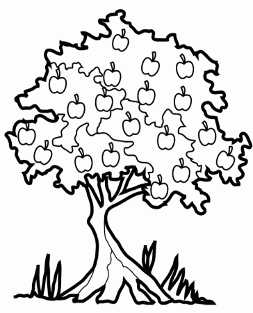 Picture of apple tree which you can print and color for free now