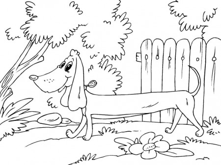 Smiling Dachshund Coloring Page - Free Printable Coloring Pages for Kids