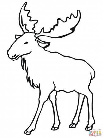 Moose coloring pages | Free Coloring Pages