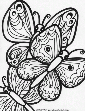 Very Detailed Butterfly Coloring Pages - coloringmania.pw ...