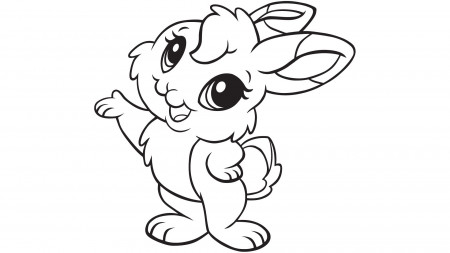 Jpeg Realistic Rabbit Coloring Pages Printable - Colorine.net | #27224