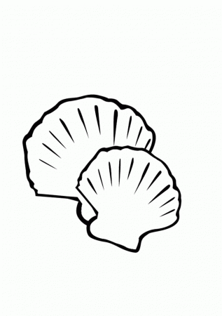 Printable Seashell Coloring Pages | Coloring Me