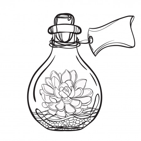 Succulent Coloring Pages – Draw Swan