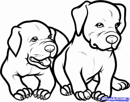 Baby Pitbull Coloring Pages, Baby Puppy Coloring Pages Free ... - Coloring  Home | Puppy coloring pages, Dog coloring book, Dog coloring page