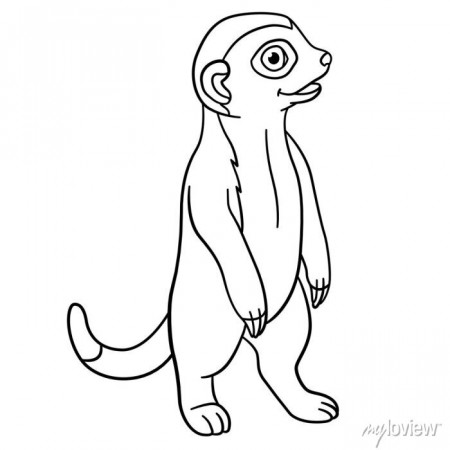 Coloring pages. little cute baby meerkat smiles. • wall stickers example,  funny, wildlife | myloview.com