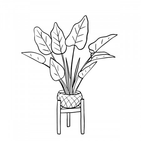Houseplants Coloring Pages: Free Printable Coloring Pages of Plants for  Plant Lovers | Printables | 30Seconds Mom
