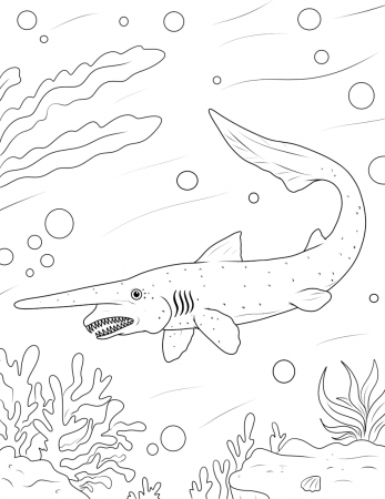 Shark Coloring Pages - Activity Party