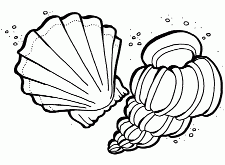 18 Free Pictures for: Ocean Coloring Pages. Temoon.us
