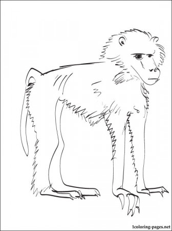 Baboon coloring page | Coloring pages