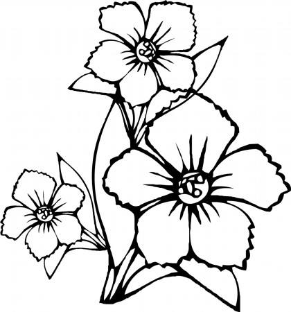 Tropical Flower Coloring Pages - Flower Coloring Pages : Coloring ...