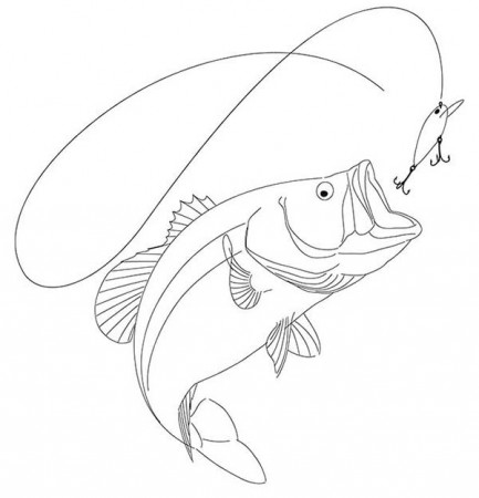 Drawing of a Largemouth Bass on Behance