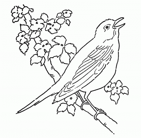 Line Art - Coloring Page - Bird with Blossoms - The Graphics Fairy
