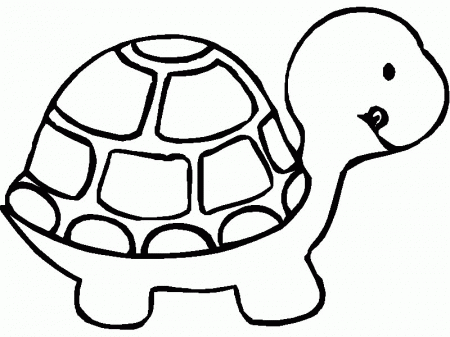 Tortoise Coloring Page - Coloring Pages for Kids and for Adults