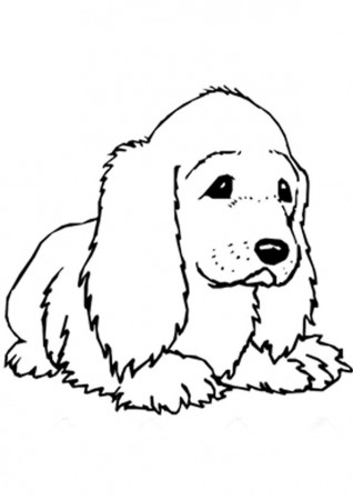 Cocker Spaniel Coloring Pages - Best Coloring Pages For Kids