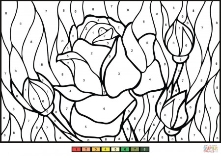 Rose Color by Number | Free Printable Coloring Pages