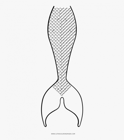 Mermaid Tail Coloring Page - Mermaid Tail Coloring Pages, HD Png Download ,  Transparent Png Image - PNGitem