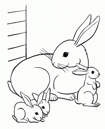 Cute Animal Coloring Pages To Print Animal Coloring Pages Free ...