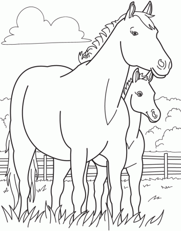 caballo tobiano para colorear - Clip Art Library