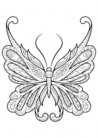 Butterfly beautiful patterns - 18 - Butterflies & insects Adult Coloring  Pages