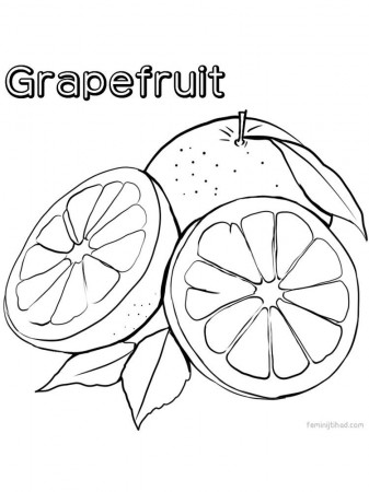 grapefruit coloring images | Coloring pages, Fruit coloring pages, Free coloring  pages
