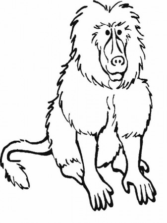 RainForest Mammals Coloring Pages : 7 Rainforest Animals Coloring ...