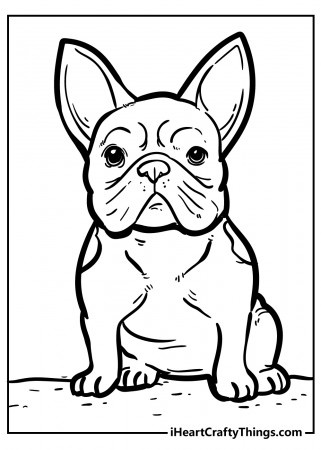 Dog Coloring Pages - Super Adorable And 100% Free (2023)
