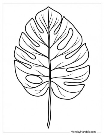 34 Leaf Coloring Pages (Free PDF Printables)