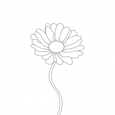 Daisy flower coloring page Vectors & Illustrations for Free Download |  Freepik