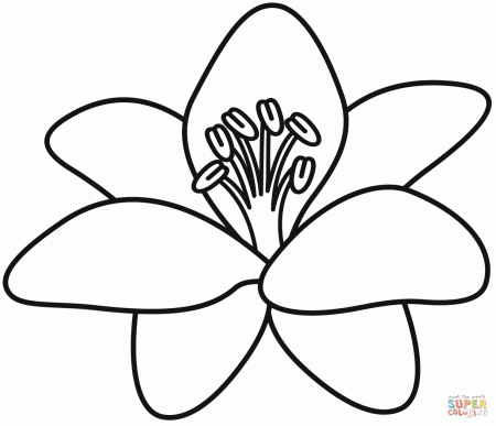 Lily coloring page | Free Printable Coloring Pages