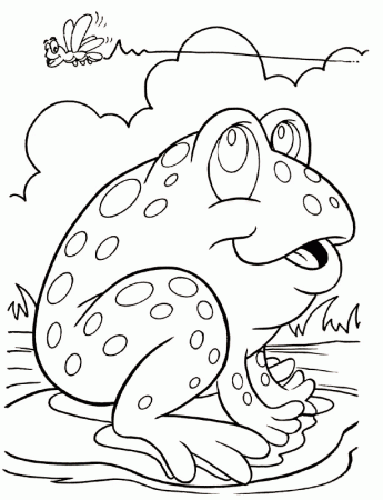 Animal Coloring Pages Frog - Coloring Pages For All Ages