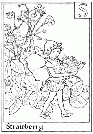 Coloring Pages Flower Fairies - High Quality Coloring Pages
