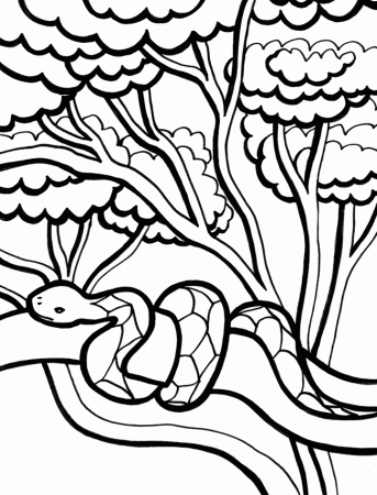 Snake coloring page - Animals Town - animals color sheet - Snake 
