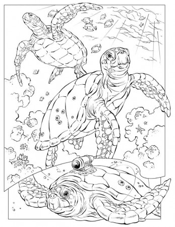 Coloring pages | Adult Coloring ...