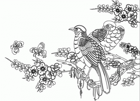 Proficiency Bird Coloring Pages For Kids Az Coloring Pages ...