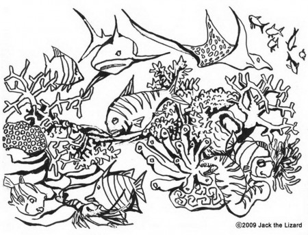 animal-coloring-pages-jack-the-lizard-wonder-world-2-122389 ...